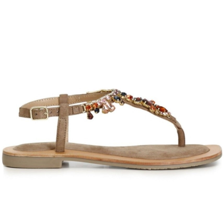 Sandals jewel thong CafèNoir women taupe leather